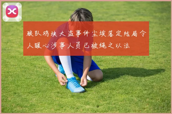 狼队鸡块大盗事件尘埃落定结局令人暖心涉事人员已被绳之以法