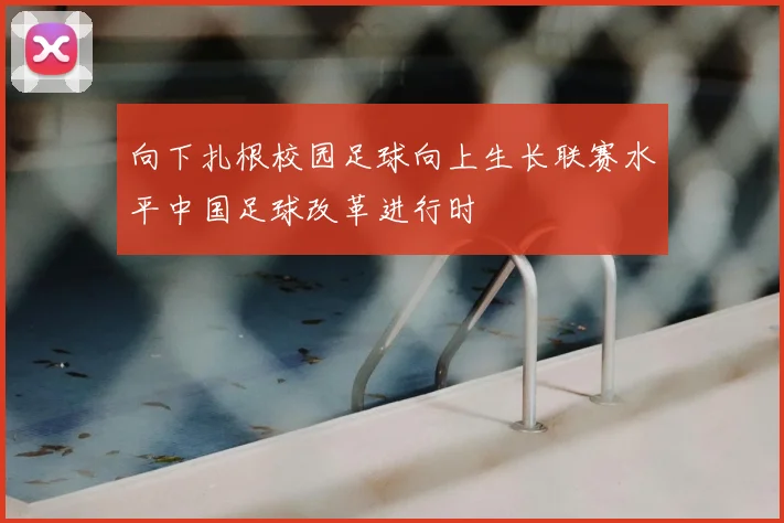 向下扎根校园足球向上生长联赛水平中国足球改革进行时